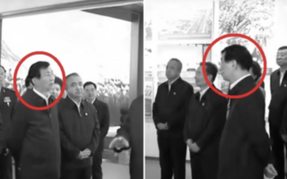 王沪宁背着手听习训话 “不敬”姿态引热议