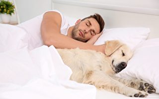 你家小狗会做梦吗？ 都梦到什么？