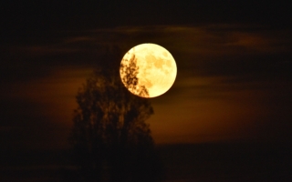 月亮是神人造的？ 山中逢修补月球的人指点迷津