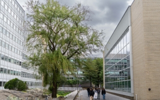 最具创新力的十所美国大学 榜首非顶级名校