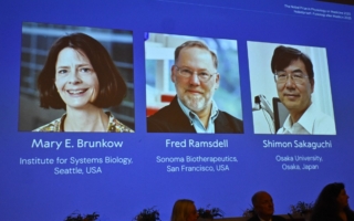 诺贝尔医学奖揭晓 美日三学者共享殊荣