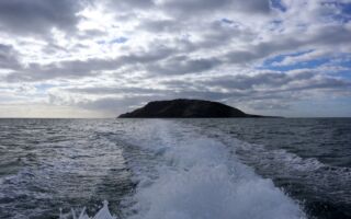 羊比人多的英国小岛征求新居民 管理200只羊