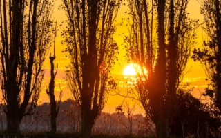 为何“终其一生，不过苟且二字”？