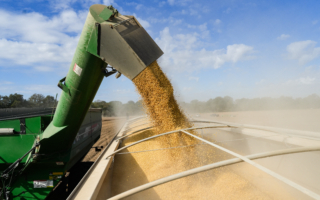 美中贸易战延烧至农产品 专家解析