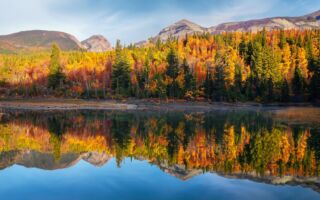 最是想念的季节：珍藏霜降之美 深秋平补养生有道