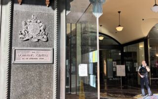 悉尼豪车撞人案首次开庭 杨兰兰视频应讯