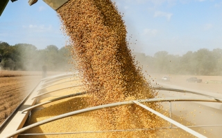 贝森特：中共将延迟稀土出口控制 购买美大豆