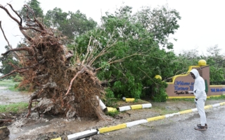 飓风袭击牙买加 人工智能生成的假视频泛滥