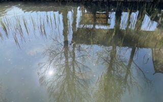 微型小说：何不下车撒泡尿