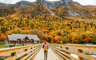 立冬“闭藏”如何顺应天时补肾养精气？