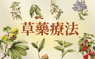 【图解】用于草药疗法的植物功效一览