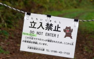 熊害令13人丧命 日本警察首次获准开枪扑杀