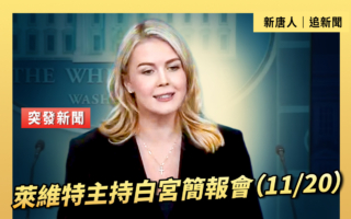【直播】莱维特主持白宫简报会(11/20)