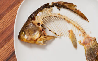 鱼刺卡喉咙的风险比你想像的高 如何处理？