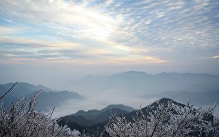 金山风云之顶天立地（11）事实真相