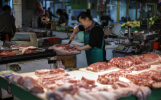 中国再爆非洲猪瘟 当局放任死猪流入市场