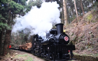 中共控管陆客 台湾观光转多元经营 降低依赖