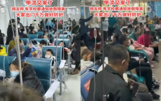 河南7岁女孩感染甲流 几个小时右肺全白