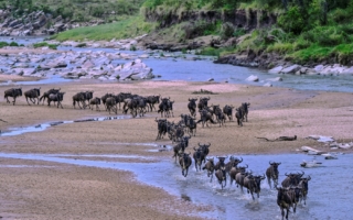 肯尼亚载外国游客小飞机坠毁 11人遇难