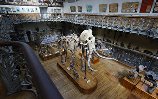 巴黎博物馆金块被盗 中国女子涉案被起诉