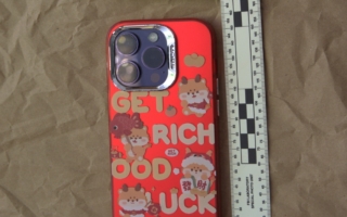 纽约州孙雯案：从“华人之光”到被告