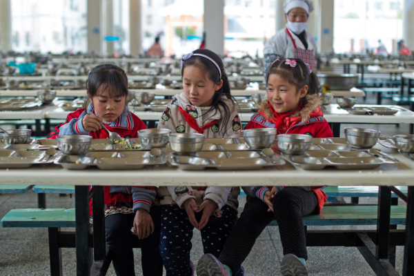 食堂承包商举报河南一中学领导2年拿走330万
