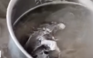 网民曝广西早餐店“汤锅捞出炖烂老鼠”