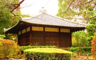 日本文化中的“侘寂”是啥？如何应用？