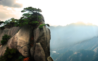人生得遇——“神医李云风”传奇