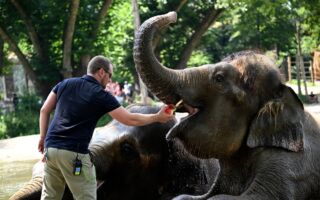 组图：欧洲热浪持续 动物园解暑有妙招