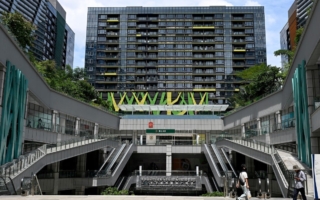 太子集团陈志被遣返中国 内情解析