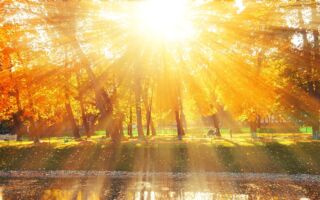 轮回转世 动人纪实 : 美丽光圈出现巨神