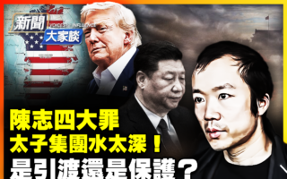 【新闻大家谈】太子集团陈志被引渡还是保护？