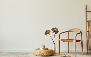 浮生行吟：“慢半拍” 发现美好