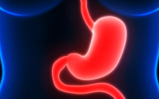 为什么胃酸不会灼伤胃部？ 专家释疑