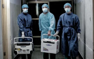 拥有罕见熊猫血 河南男子死亡捐3器官惹疑