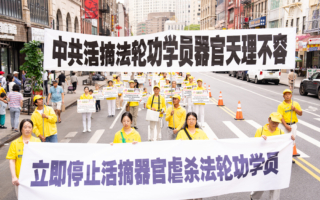 丁律开：制止活摘是国际社会无法回避的责任