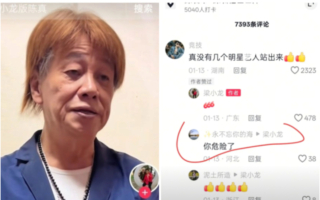 去世前一天吁严惩人贩子 梁小龙死因引关注