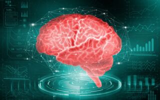 如何提升记忆力？ 专家分享简单3招