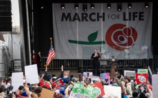 万斯：美国将切断在海外推广DEI的援外资金