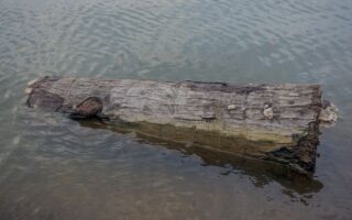 美国小城多年谜团：河面木头上有3辆自行车