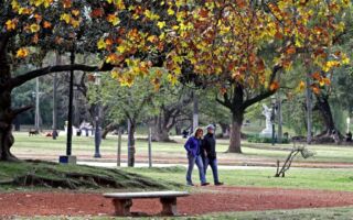 研究：漫步大自然听鸟鸣声 可提升幸福感