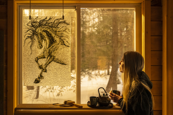 动与静交织 摄影大赛入围作品讲人与马的故事