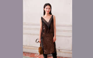 女星金晨被爆驾车肇事逃逸 疑让助理顶包惹议