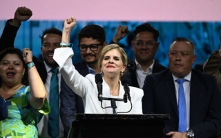 哥斯达黎加大选 保守派费尔南德斯获胜