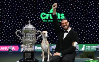 组图:2025英国克鲁夫茨狗展 各种名犬亮相