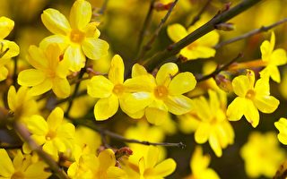 立春节气要“养生”做这些事增长一年阳气