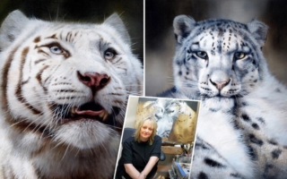 组图：艺术家以惊叹的细节描绘老虎雪豹