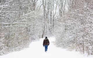 为什么在下雪后会感觉很安静？ 专家释疑