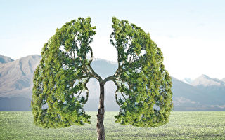 健康迎马年 芝加哥新唐人健康展2月28日登场